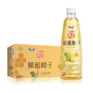 康师傅 蜂蜜柚子茶Master Kong Honey & Grapefruit Drink 500ml  