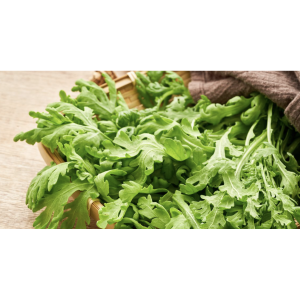 茼蒿 Tongho  (NL) 500g
