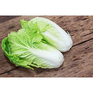 ⼤⽩菜 Chinese Cabbage（Netherlands) 1kg （称重 多退少补）