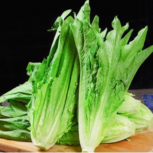 油⻨菜 Leaf lettuce 500g