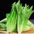 油⻨菜 Leaf lettuce 500g
