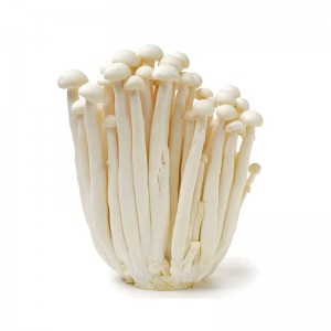 白雪菇 Shimeji Snow -150g