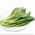 荷兰芥菜 KAI CHOI (Netherlands) 500g