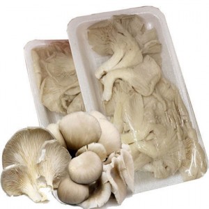 盒装平菇  Oyster mushroom (Netherlands) 200g